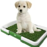 Baño Ecológico Sanitario Reutilizable Pa