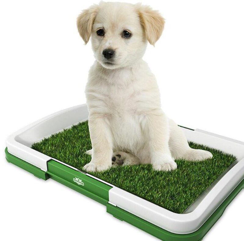 Baño Ecológico Sanitario Reutilizable Pa